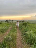 Back view of woman in romantic dress running through field of green grass at sunset on summertime photo