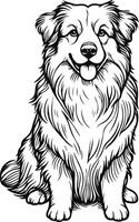 hand-drawn portrait of Australian Shepherd in engraving style vector