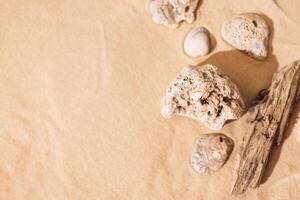Sandy beautiful background with shells. Stones and bark of a tree on a backdrop of clean smooth sand. photo
