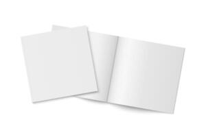 mockup of two white paperback magazines with transparent shadow. vector