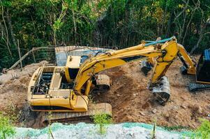 Deforestation of rainforest. Environmental problem. destruction of forest. photo