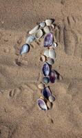 Number 1 laid out from seashells on the sand. Marine background. The symbol is one. Shells. Copy space. photo