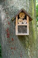 House for insects. A box made of bark, straw and stones. Bricks, cones and bamboo for the insect to settle there. Home for wild bees. Eco friendly do-it-yourself craft. Idea for a garden. DIY photo