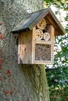 House for insects. A box made of bark, straw and stones. Bricks, cones and bamboo for the insect to settle there. Home for wild bees. Eco friendly do-it-yourself craft. Idea for a garden. DIY photo