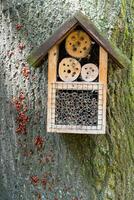 House for insects. A box made of bark, straw and stones. Bricks, cones and bamboo for the insect to settle there. Home for wild bees. Eco friendly do-it-yourself craft. Idea for a garden. DIY photo