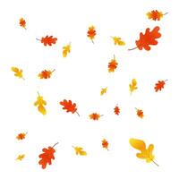 Autumn background with oak leaves. Orange oak leaf in flat style. Autumn overlay on white background. vector