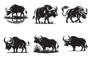 How to Identify Buffalo in the Wild vector