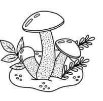 illustration of a mushroom highlighted on a transparent background for children coloring a worksheet, workbook, web design. Stock illustration of a white mushroom in a forest clearing. vector