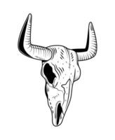 A bull skull with horns on a white background vector