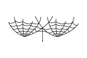 A drawing of a spider web on a white background vector