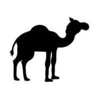 A camel silhouette is shown on a white background vector