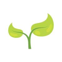 A green plant with leaves on it vector
