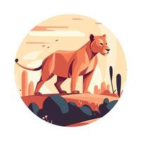 Lion in the desert illustration vector