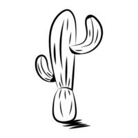 A cactus is drawn in black and white on a white background vector