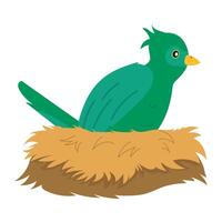 A green bird sitting on a nest vector