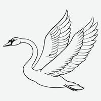 Graceful Black Swan Bird in Flight Elegant Line Art Illustration vector