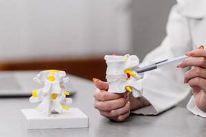 A female physiotherapist demonstrates a model of the human spine in a clinic, providing detailed explanations and consultations to a patient. Perfect for illustrating expert care and patient guidance photo