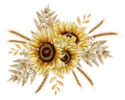Sunflowers with spikelets and autumn leaves. Watercolor illustration of fall Flowers and wheats in orange and yellow colors for harvest festival greeting cards or floral wedding invitations. png
