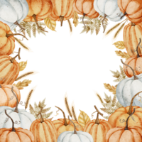 Pumpkin watercolor square Frame. Illustration of autumn vegetables for harvest greeting cards or wedding invitations on isolated background. Fall template thanksgiving day. Rustic border with squashes png