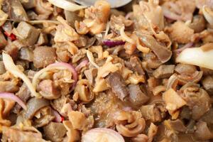 pork and organ stew photo