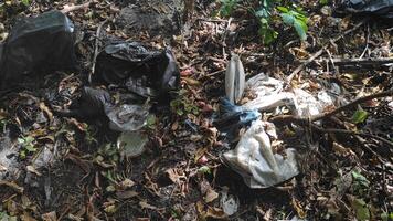 Plastic trash thrown out in the forest in nature. The problem of environmental pollution. Garbage thrown out in the forest. Waste in nature. Garbage collection waste sorting recycling photo