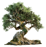 fantasy tree,fairy tale tree isolated on a transparent background png