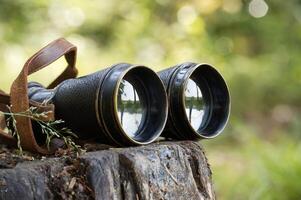 Vintage binoculars resting on a tree stump in a peaceful forest setting photo