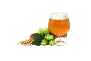 Glass of craft beer paired with fresh hops and barley isolated on white background photo