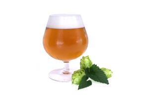 Glass of craft beer paired with fresh hops isolated on white background photo