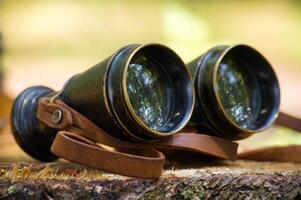Vintage binoculars resting on a tree stump in a peaceful forest setting photo