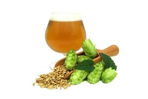 Craft beer in a glass with fresh hops and barley grains isolated on white background photo