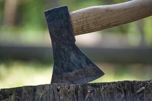 Close-up of an axe embedded in a tree stump beside nature and the outdoors photo