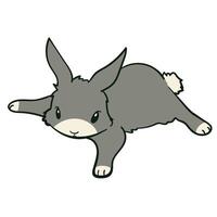 Cute Grey Rabbits Various Poses Stock Seven vector