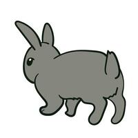 Cute Grey Rabbits Various Poses Stock Eight vector