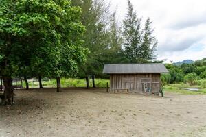 wooden house near the beach surrounded by trees photo