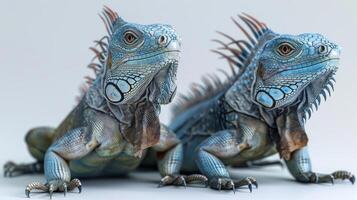 a close-up of two lizards with detailed patterns on their skin, photo