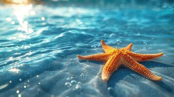 Starfish floating in the ocean, basking in the sunlight. photo