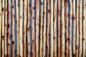 Rustic Wooden Fence with Vertical Logs Creating a Natural and Organic Pattern in Outdoor Setting photo