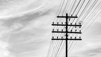 Black and White Photograph of a Telephone Pole with Power Lines Against a Cloudy Sky photo