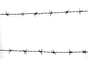Close-Up of Barbed Wire Against White Background Highlighting Sharp Metal Spikes and Minimalist Design photo