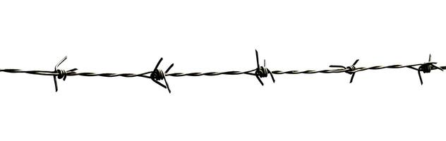Close-Up of Barbed Wire Isolated on White Background for Security and Protection Concepts photo