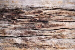 Close-Up of Weathered Wooden Surface with Natural Texture and Grain Patterns photo