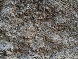 a close up of a wall with dirt and sand photo