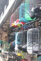 bird cages in the traditional Indonesian animal market photo