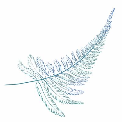Watercolor blue sprig of fern. Tropical leaf. Forest plants, botany for design.