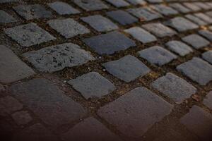 Textured stones create a charming walkway photo