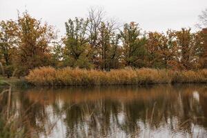 Colorful autumn foliage mirrors in still water of pond in Stromovka park Prague photo