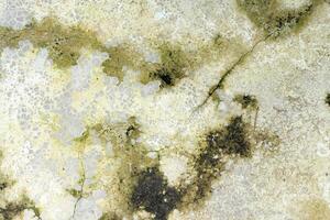 Vintage weathered concrete wall texture background photo