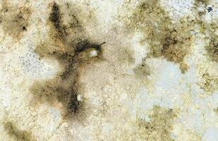 Vintage weathered concrete wall texture background photo