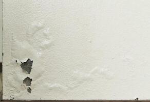 Paint peeling and swelling from moisture photo